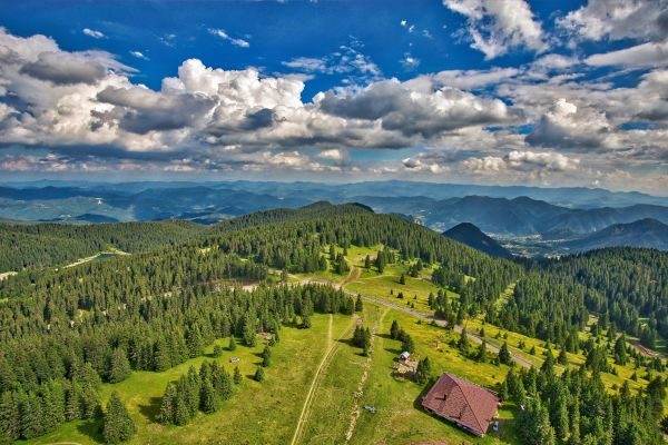 Solutions Consultant with Norwegian and English. Relocation to Sofia, Bulgaria