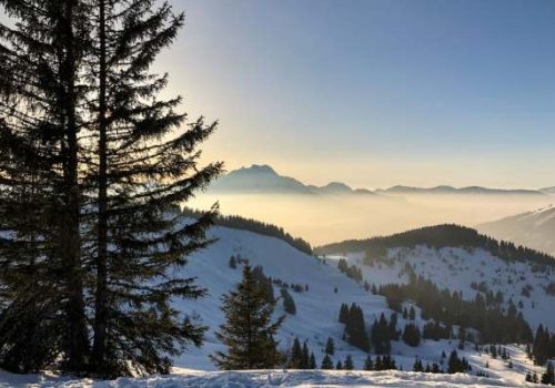 WaiterWaitress-at-Le-Local-Morzine-10th-Dec-2025-6th-April-2026-1.j