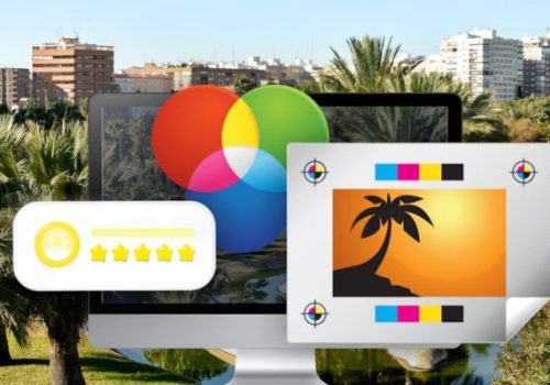 Werk in Valencia als Nederlands en Franstalige sales specialist