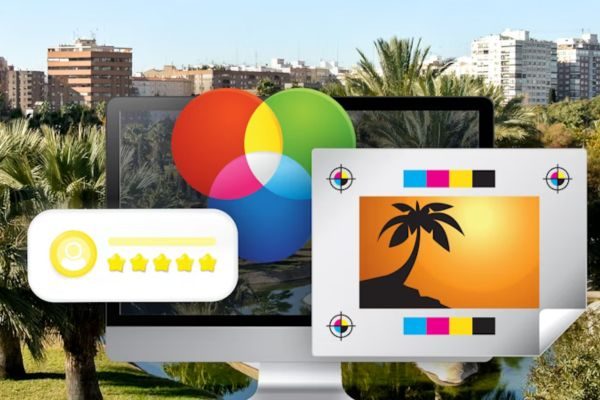 Werk in Valencia als Nederlands en Franstalige sales specialist