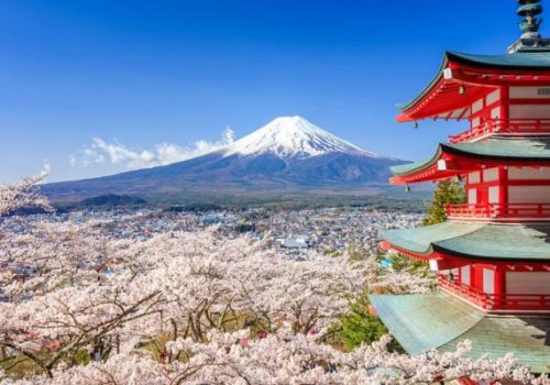 Working Holiday in Japan