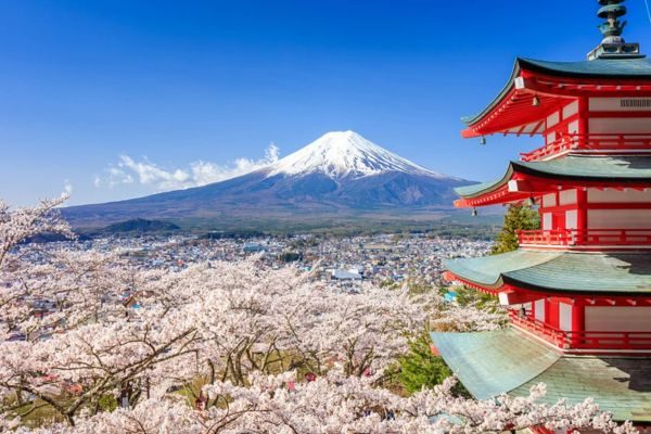 Working Holiday in Japan