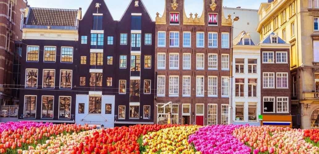 leva och jobba i Amsterdam